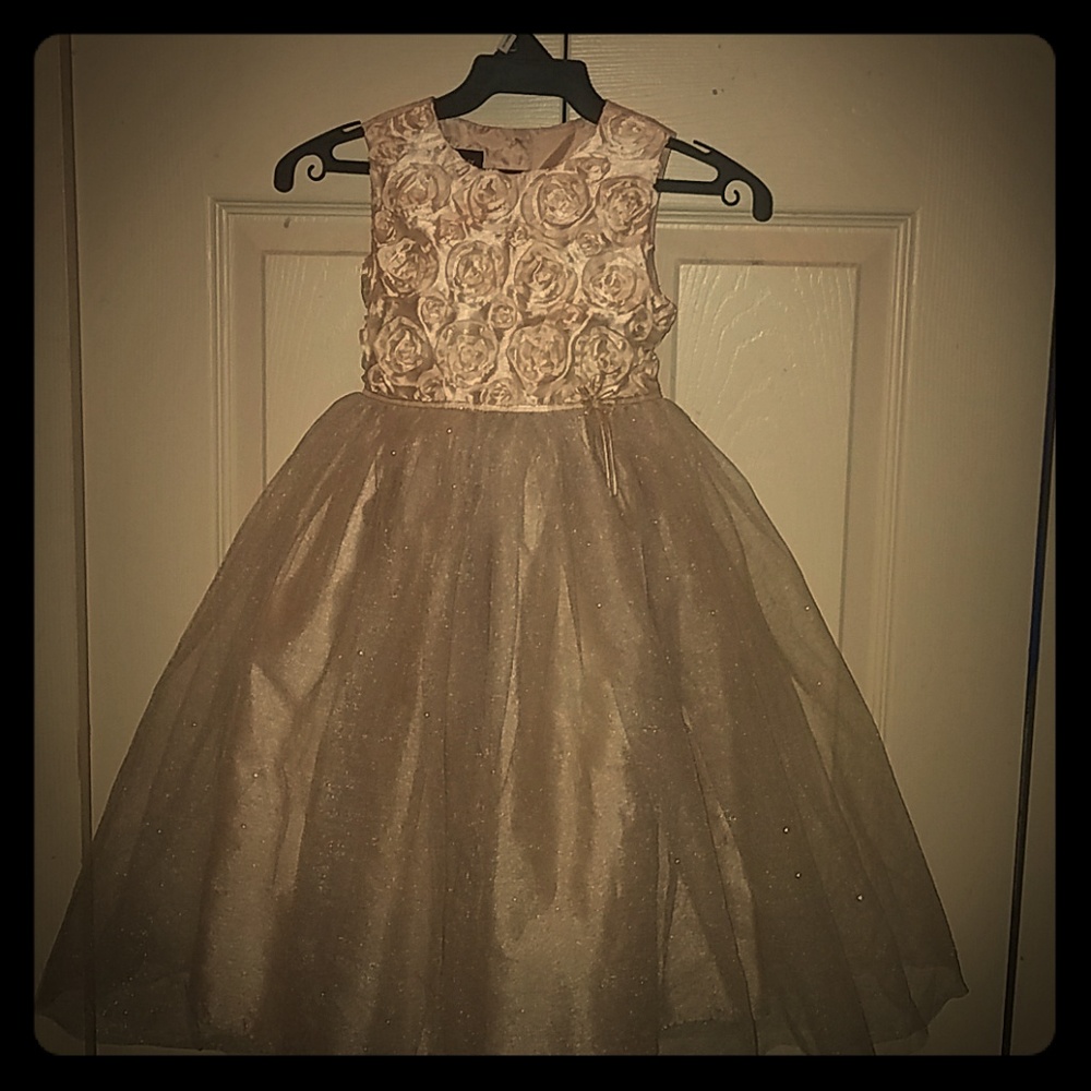 Beautiful Childrens Flower & Tulle Party Dress